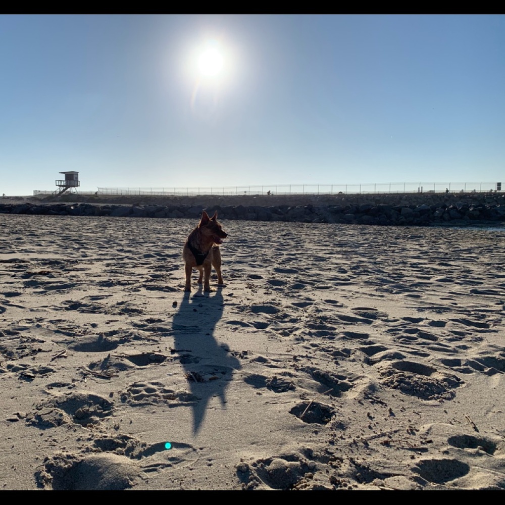 Meet your Posher, Dena